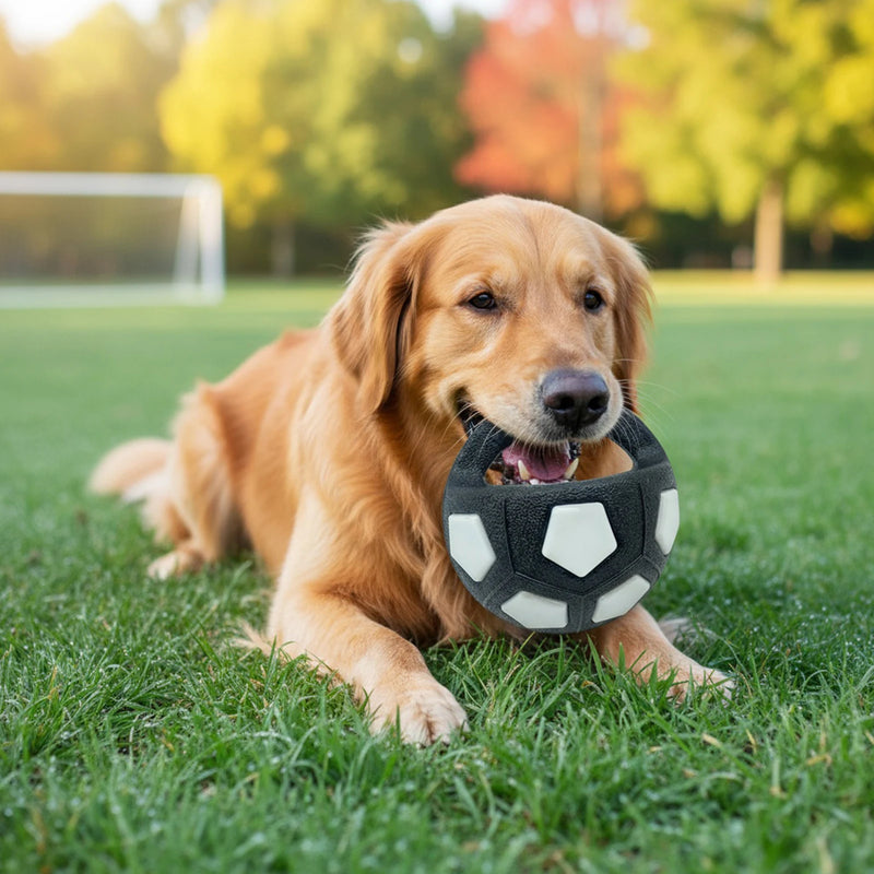 Dog Calming Ball – Interactive Squeaky Toy for Medium & Large Dogs